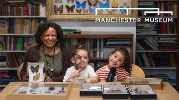 Kids Ask Questions Episode 2 | Entomology with Diana | Manchester Museum