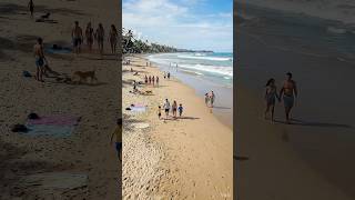 Built A Room From Ocean Plastic Trash