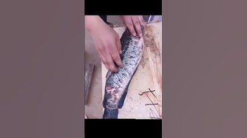 Efficient and Convenient! Fully automatic fish killing machine comes out #fishing