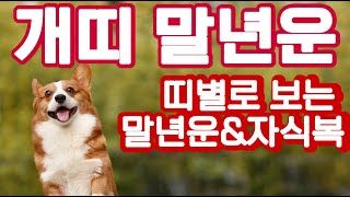 개띠 말년운과 자식복&amp;개운법! 띠별로 확인하는 말년운과 개운법! #사주, #띠별운세, #말년운, #자…