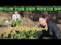 한국 인심, 진짜 이렇게까지?