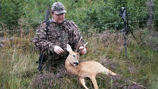 HUNTING ROEBUCK IN THE RUT - Medal buck shot - Calling deer - Game-calling