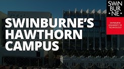 Swinburne University Of Technology Youtube