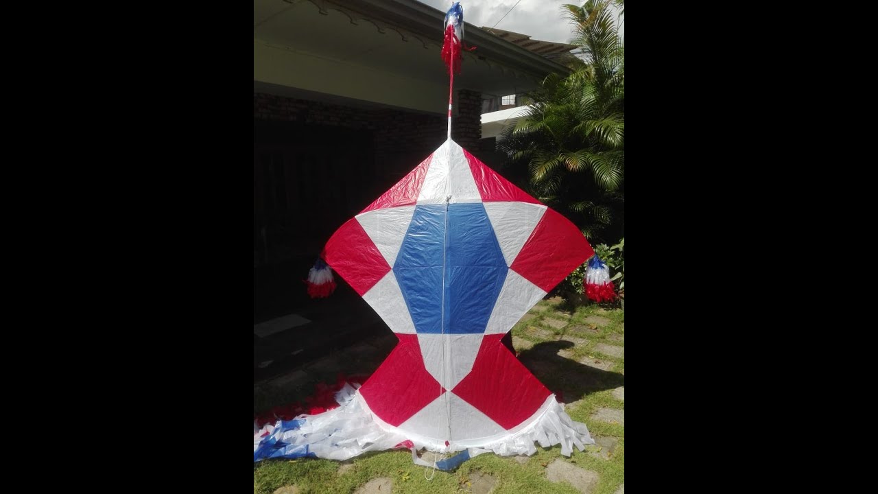 Sri Lankan Peacock Kite Part 3 YouTube