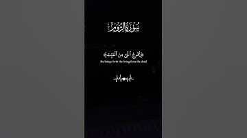 #قران_كريم #المصحف سورة الروم -تلاوة خاشعة بصوت جميل
