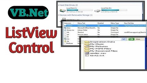 Vb.net listview control in hindi
