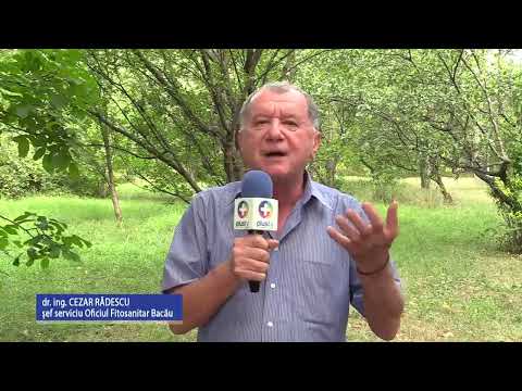Mai puține urme de pesticide