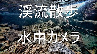 【観察 ④】 滝壺 水中カメラ イワナ 岩魚 源流 Char 渓流 Underwater Camera Fish 渓流散歩 【観察 ④】 滝壺 水中カメラ イワナ 岩魚 源流 Char 渓流 Underwater Camera Fish 渓流散歩