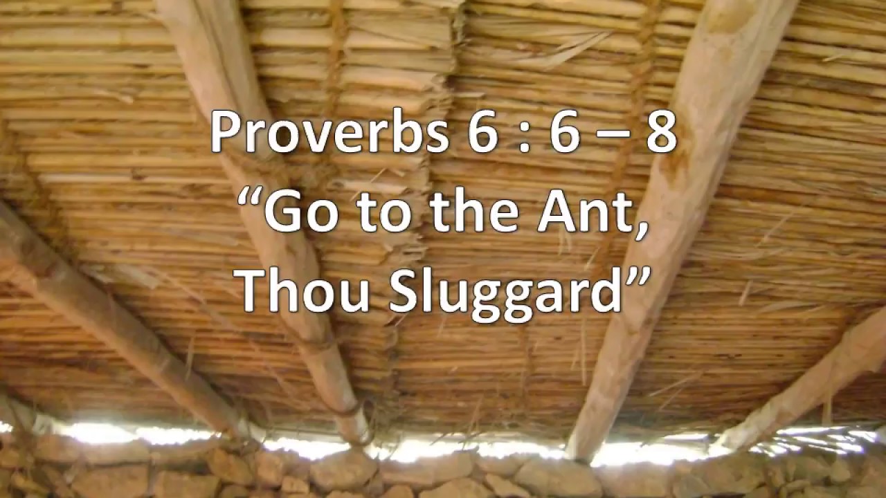 Proverbs 6:6-8, Go to the ant, thou sluggard,KJV,singalong w lyrics,key ...