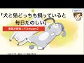 【獣医が解説】アニメ「犬と猫どっちも飼ってると毎日たのしい」の犬くんと猫さまの行動のちがい part2