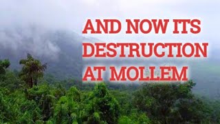 Huge forest area in Mollem Near Bhagwan Mahavir Wildlife Sanctuary is deforested.