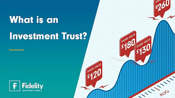 What is the main function of investment trust?