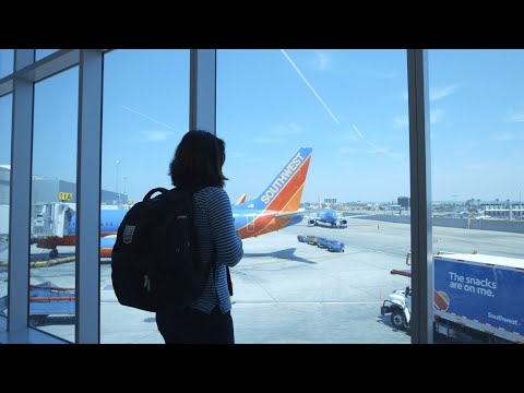 Video: Southwest Airlines conecta perros con veteranos que los necesitan