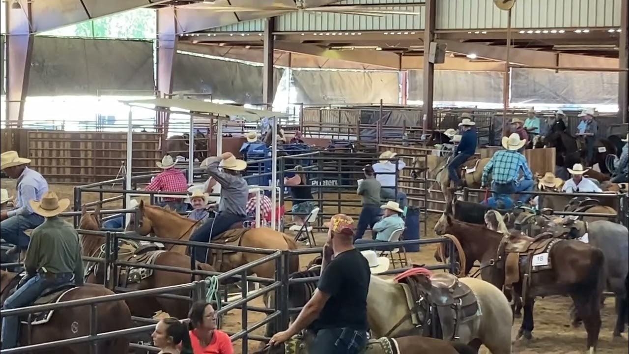 Hot Rod Bucks Lot 16 Pitzer Ranch Spring Sale YouTube