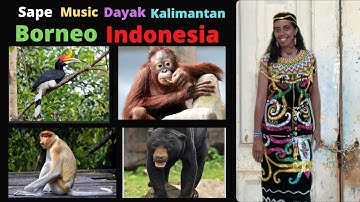 INSTRUMENT MUSIC SAPE DAYAK KALIMANTAN (BORNEO) INDONESIA