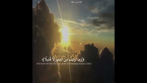 أرح سمعك🎧💙 || حالات واتس اب دينية قران كريم || مقاطع انستقرام