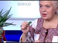 Захист від вірусів