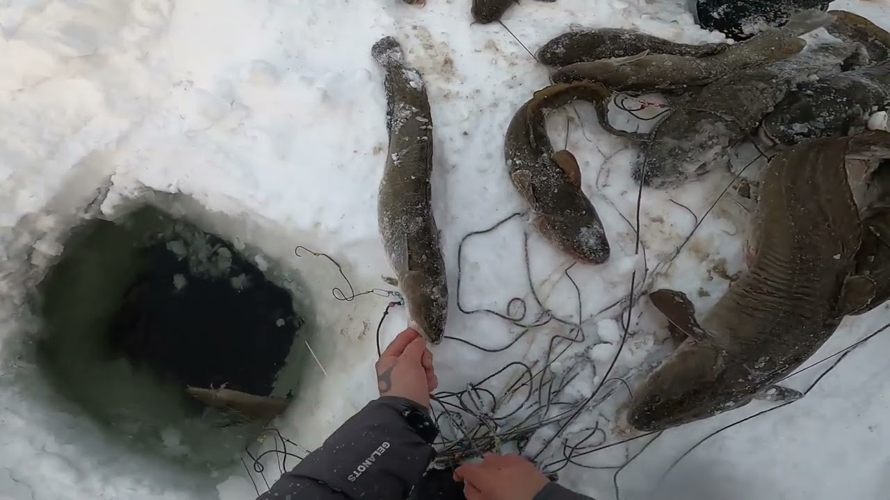 Не диалоги о рыбалке 2025г последние видео