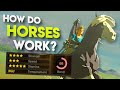 All HIDDEN Horse Stats in Breath of the Wild EXPLAINED!!