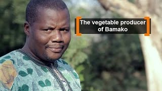 Mali: The vegetable producer of Bamako screenshot 5