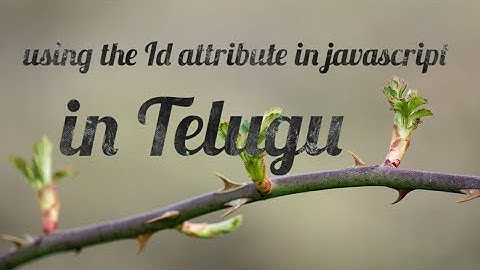 using the id attribute in javascript notepad in Telugu lesson: 18 (part-4)