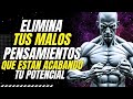 MATA el PENSAMIENTO NEGATIVO que Te Controla y RECUPERA Tu PAZ MENTAL | ESTOICISMO PURO