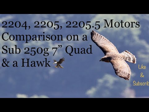 🎥 New Mamba 2204 Motors and a Hawk — Video review, click xem trên YouTube