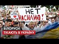 Welcome to Ukraine: хто з Білорусі втік в Україну і що країна пропонує білоруським IT-фахівцям