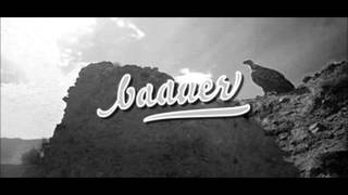 Video thumbnail of "Baauer - DumDum"