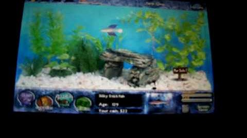 Ipod touch Application Review #1