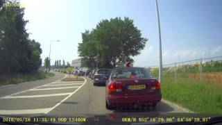 1 Schaap Over De Dam