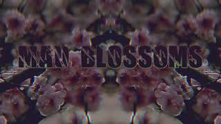 [Original Music] Mad Blossoms
