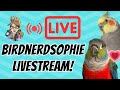 BirdNerdSophie Livestream!