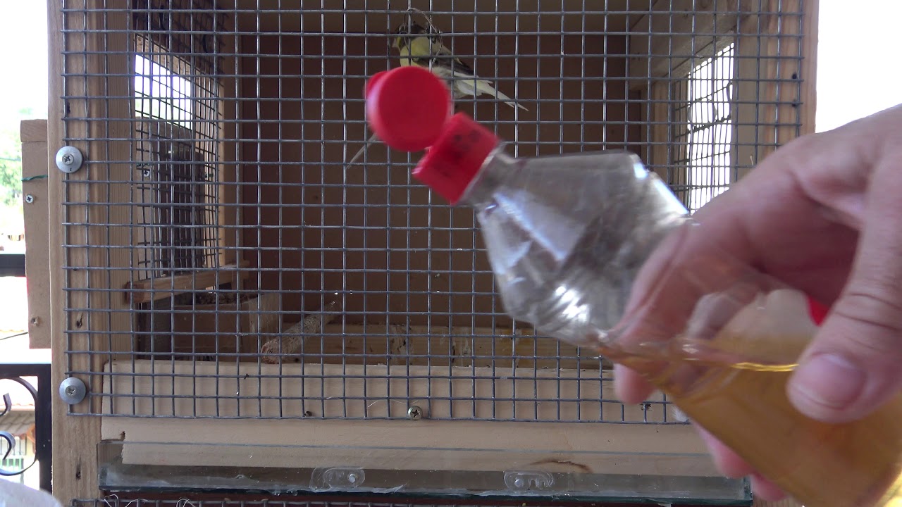 ΜΗΛΟΞΥΔΟ   ΤΟ ΘΑΥΜΑΤΟΥΡΓΟ (ΑPPLE CIBER VINEGAR)