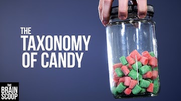 The Taxonomy of Candy