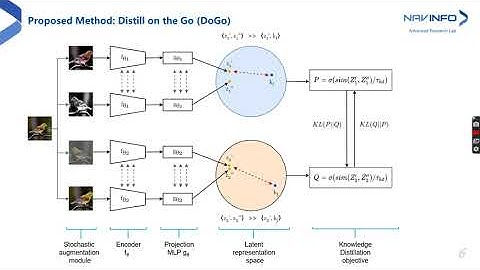 Distill on the Go Online knowledge distillation in self supervised learning