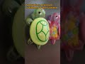 😳 Zgaś światło… i zobacz CO ROBIĄ te żółwie 🐢✨