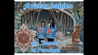 Unedited Vlog Avatar Babies Go To Pandora At Disneys Animal Kingdom