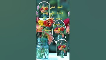 قرآن كريم بصوت اسلام صبحي#تلاوة خاشعة#قناة القرآن الكريم #راحة