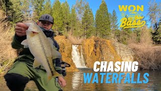 Shasta Lake Won Bass 2024 (Chasing Waterfalls)