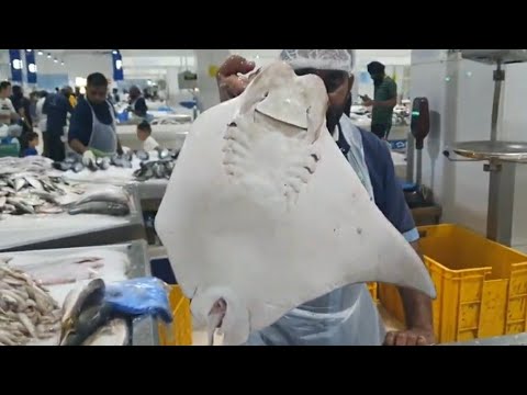 جولة في سوق سمك دبي أجيو تشوفوا أنواع الحوت و الأسعار