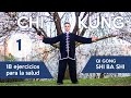 Chi kung  18 ejercicios para la salud  shi ba shi 1 de 3