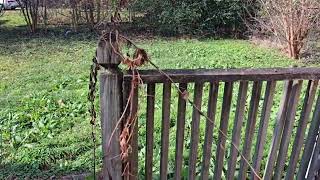 5310 Court H Birmingham AL 35208 - Tax Deed