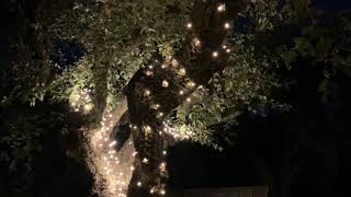 Guirlande lumineuse LED extérieure longueur 34m, 750 LED blanc chaud clignotantes vidéo