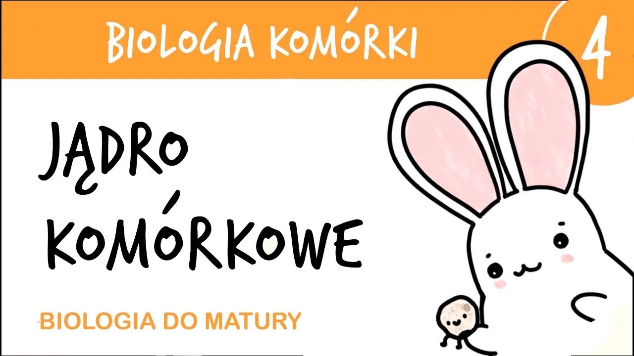 Przygotowanie Do Matury Z Biologi Cytologia 4 - Jądro komórkowe - biologia rozszerzona matura liceum