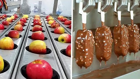 Amazing Modern Food processing technology machines | part 1