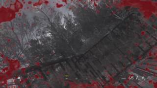 Oh fuck you, COD4