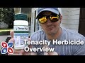 Tenacity Herbicide Overview - Lawn Care Products | DoMyOwn.com