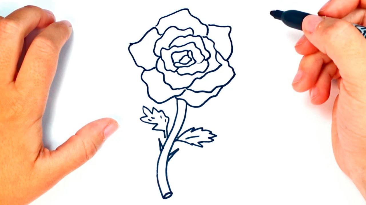 Featured image of post Dibujos De Rosas Faciles De Hacer Paso A Paso El t de rosas no solo es una exquisita bebida salpicada por un perfume embriagador sus propiedades ser an m ltiples