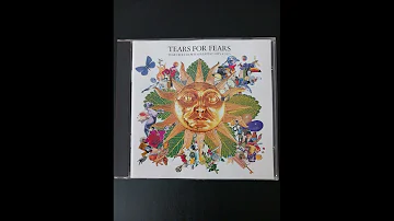 Tears For Fears  Shout  Trk4 CD Entitled Tears Roll Down Greatest Hits Compilation Release Year 1992